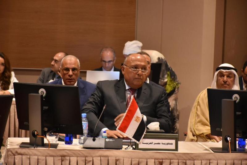 وزير الخارجية سامح شكرى