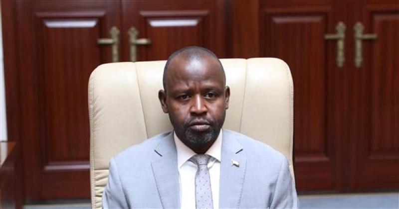 عضو مجلس السيادة الانتقالي بالسودان الدكتور الهادي إدريس يحيى