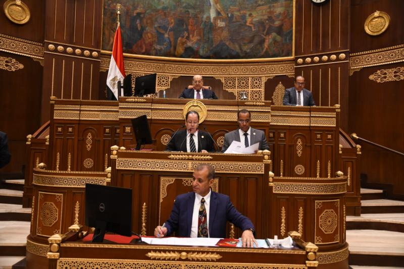 الجلسة العامة لمجلس الشيوخ