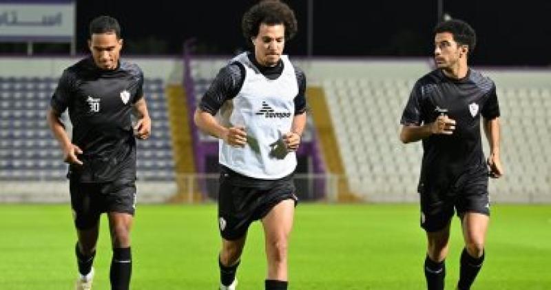 عمرو السيسى
