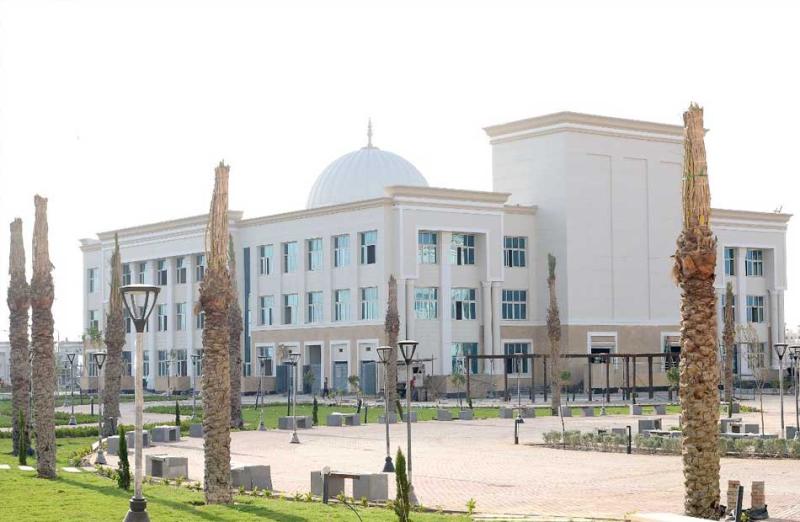 جامعة المنصورة
