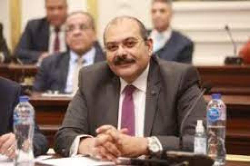 النائب محمود صلاح