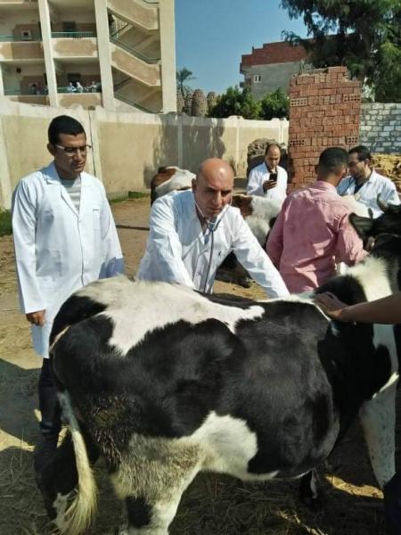  تحصين 3الاف حيوان وطائر بقافلة طبية 