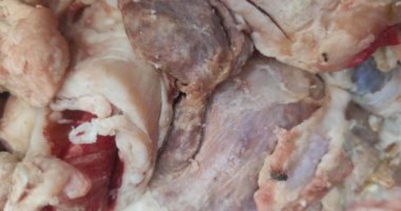  ضبط لحوم ودواجن وأسماك غير صالحة للاستهلاك الآدمى 