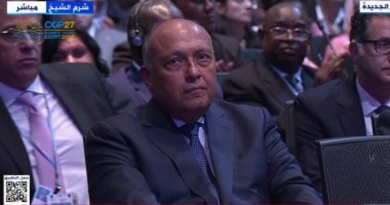 سامح شكرى