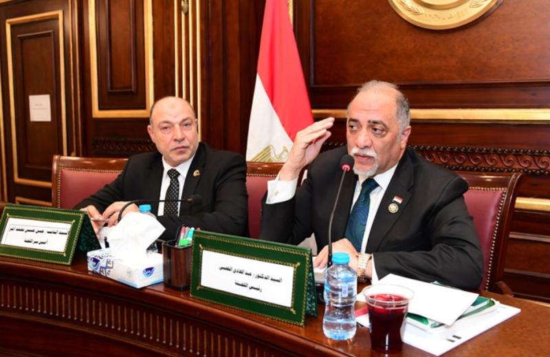 لجنة التضامن الاجتماعى والأسرة والأشخاص ذوى الإعاقة بمجلس النواب