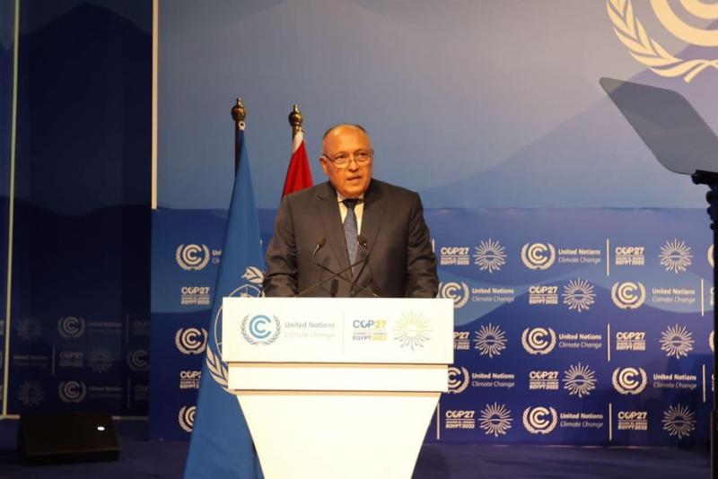 سامح شكري وزير الخارجية