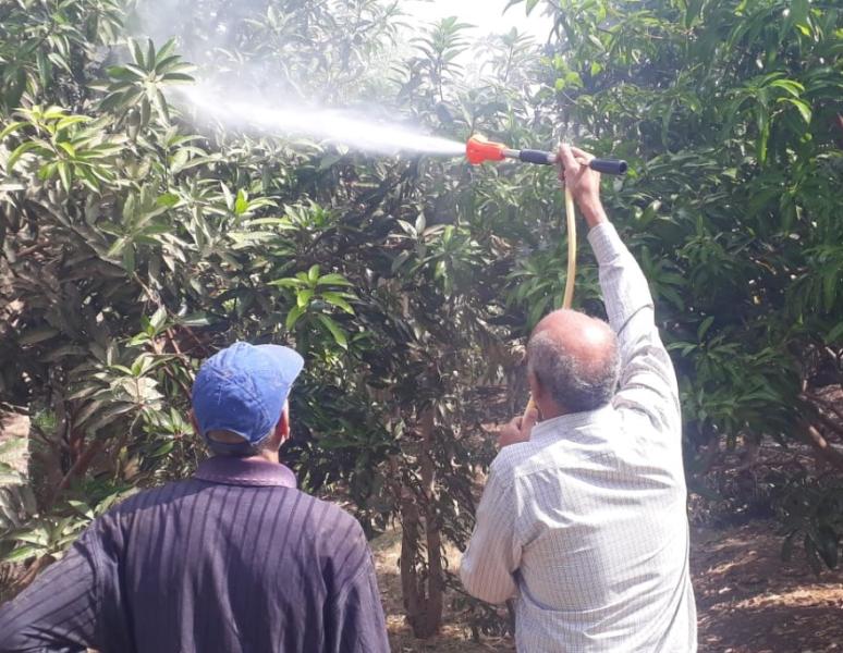الزراعة تترصد الآفات الزراعية