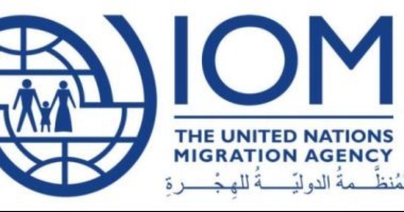 الهجرة الدولية