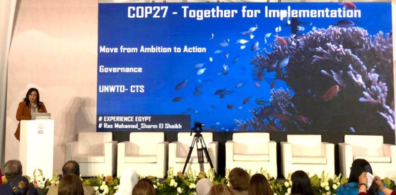 غادة شلبى 