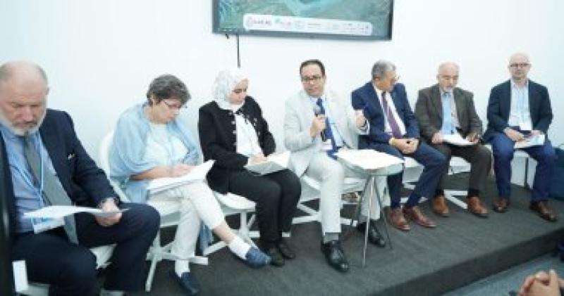 الدكتور جميل حلمي مساعد وزيرة التخطيط