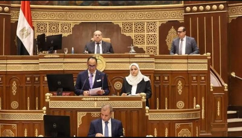 جانب من الجلسة العامة 