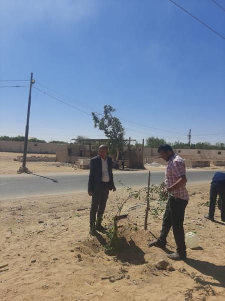مبادرة مليون شجرة
