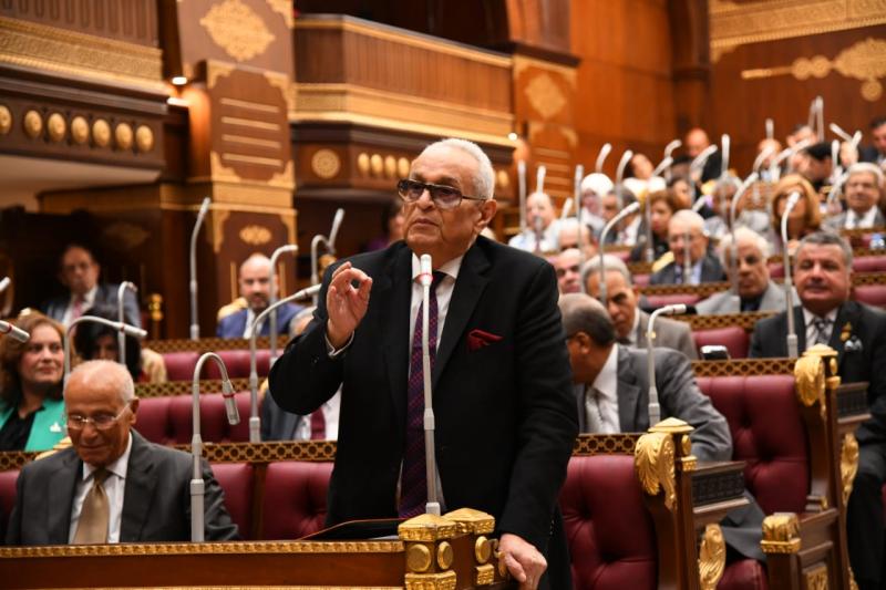المستشار بهاء أبو شقة