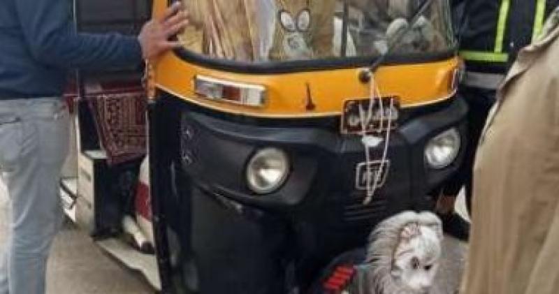   توك توك 