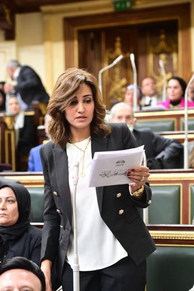 النائبة رغدة عبد السلام