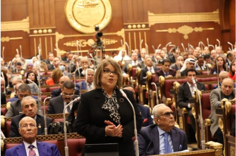 افيبى فوزى وكيلة مجلس الشيوخ