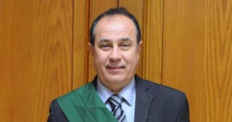 المستشار وجـدي محمـد عبـدالمنعم