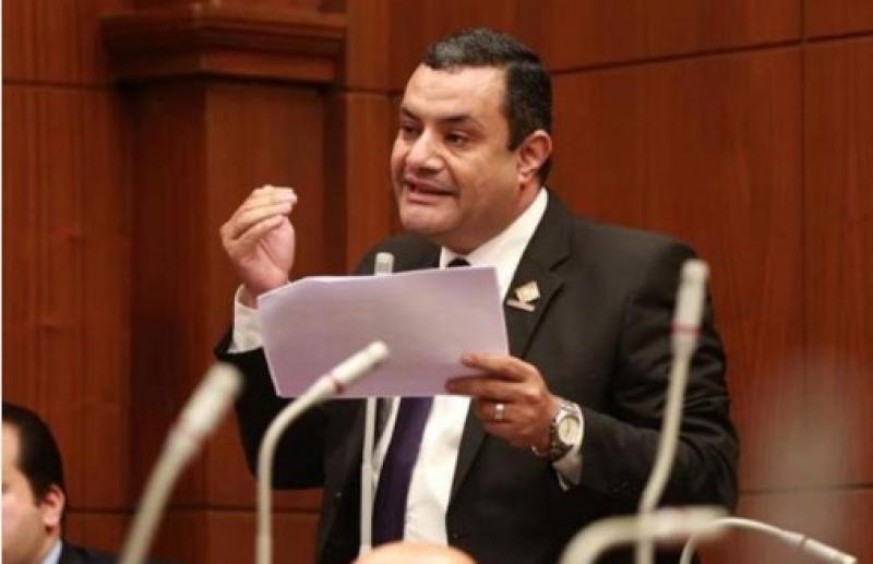 النائب أكمل نجاتى