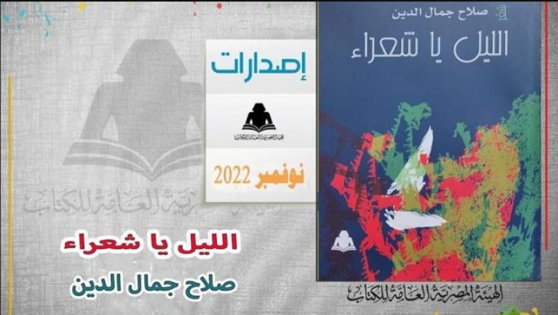 ديوان الليل يا شعراء 