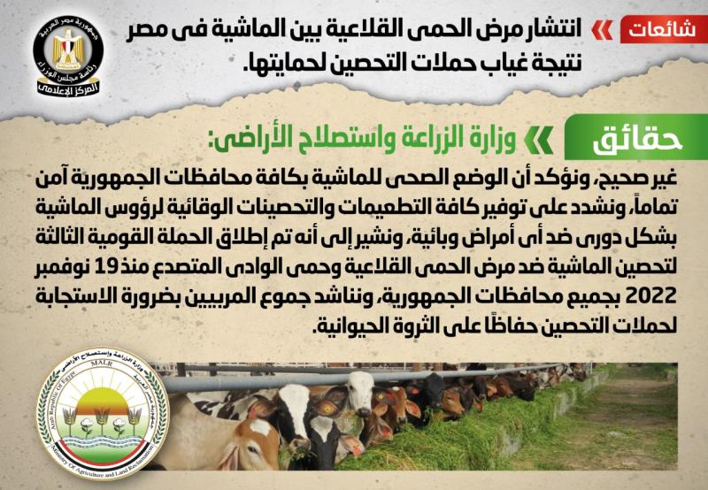 انفوجراف المركز الإعلامي لمجلس الوزراء