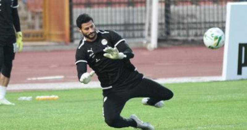 محمد الشناوي 