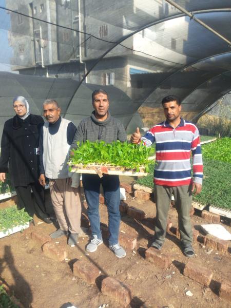 تفقد الزراعات 