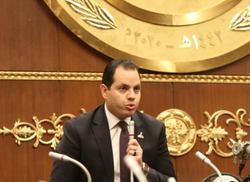 النائب أحمد فوزي، عضو مجلس الشيوخ