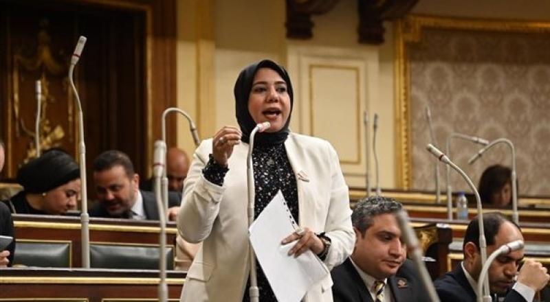 النائبة هيام الطباخ عضو مجلس النواب