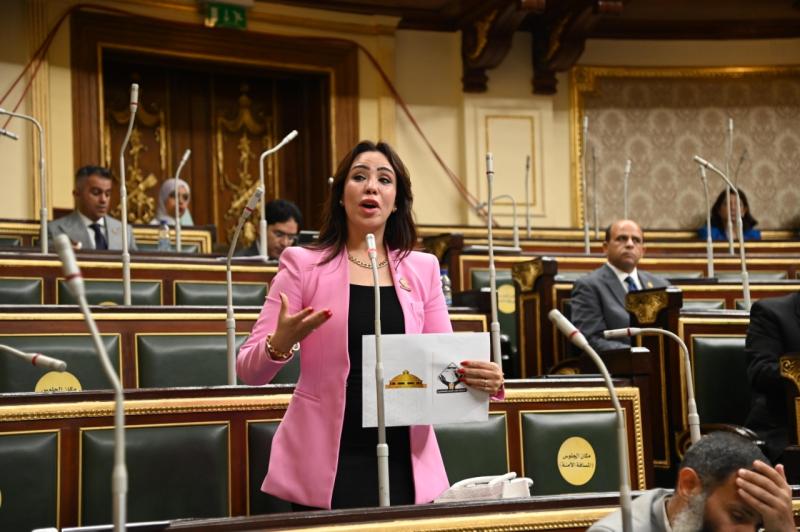 النائبة غادة على 