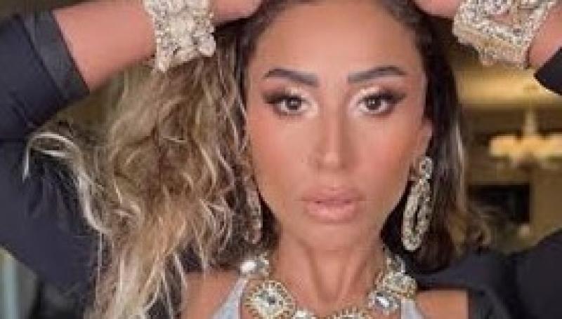 الفنانة دينا الشربيتى 