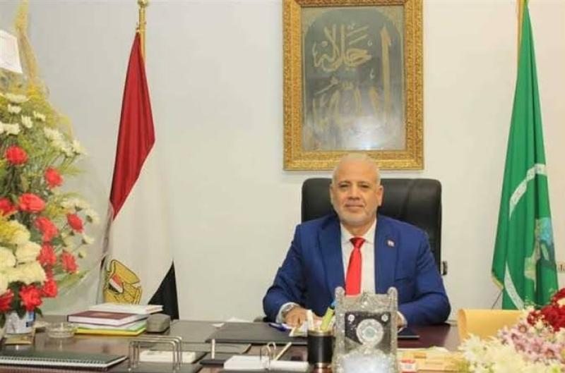 حمدي السيد اسماعيل  وكيل  الوزارة  
