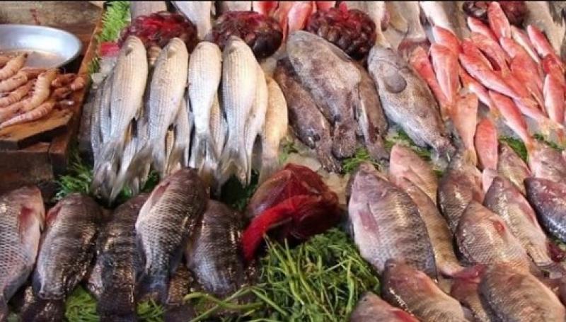 أسعار الأسماك