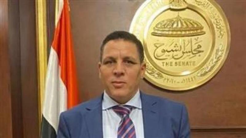 النائب أحمد محسن 