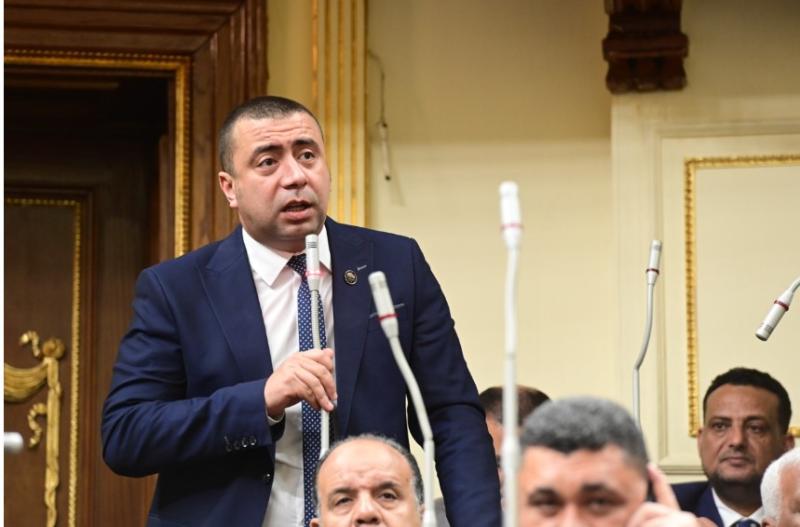 احمد بهاء شلبي