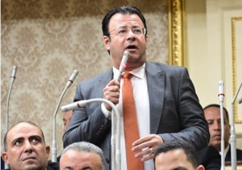النائب محمود البرعى