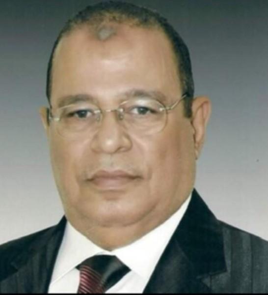 علي رضوان الامين العام المساعد لحزب حماة الوطن بالقاهرة،
