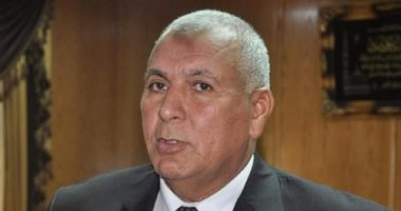  محافظ الوادي الجديد