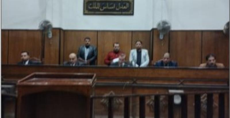 المستشار أحمد الجمل