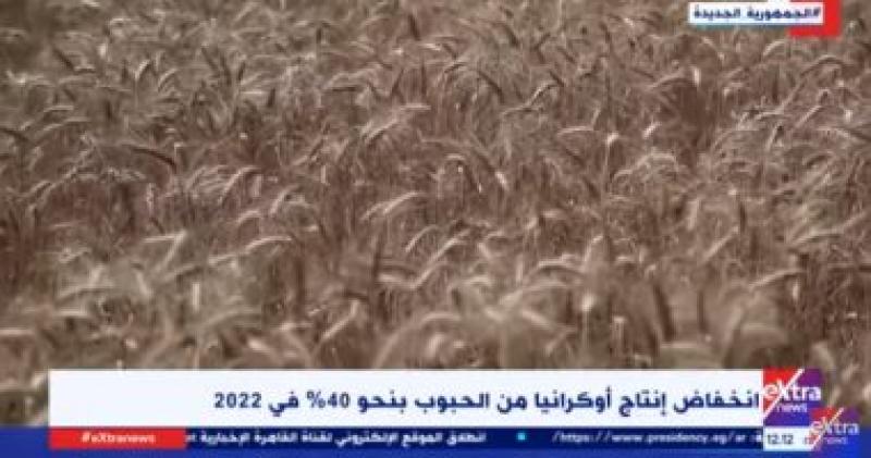القمح الأوكراني