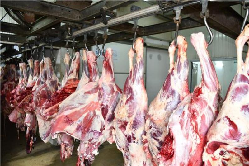 اللحوم الحمراء 