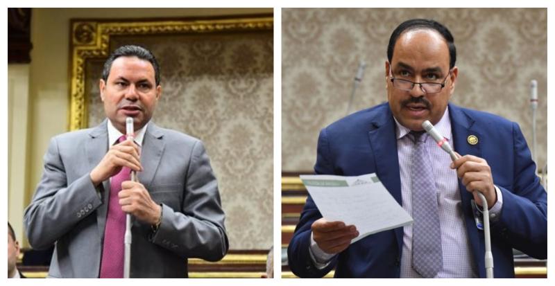 النائب أحمد قورة والنائب هشام الحصري