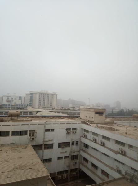 امطار 