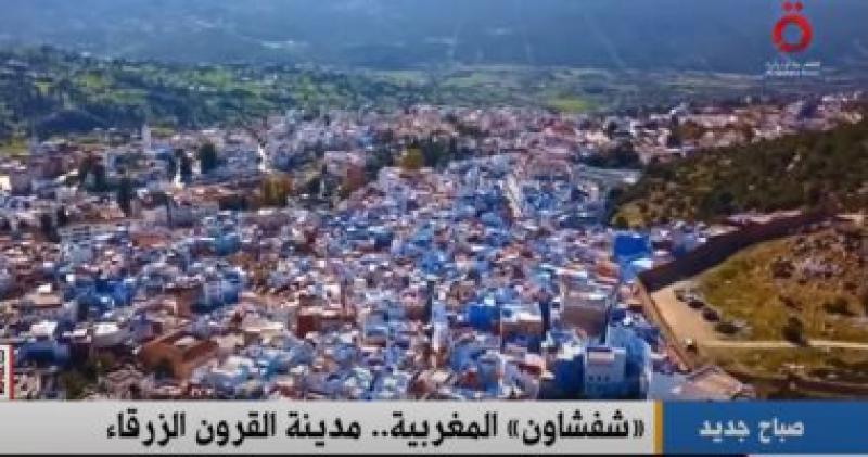 تقرير القاهرة الاخبارية
