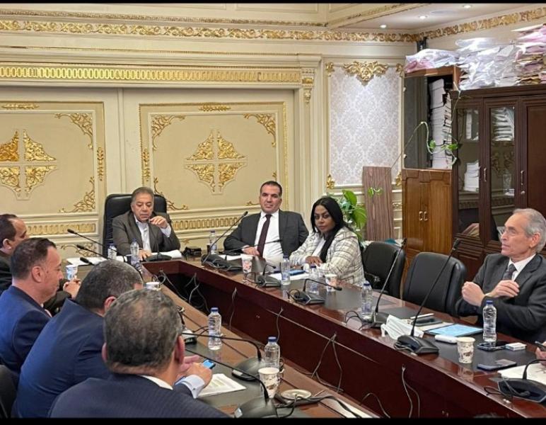لجنة الشئون الأفريقية بمجلس النواب برئاسة النائب شريف الجبلي