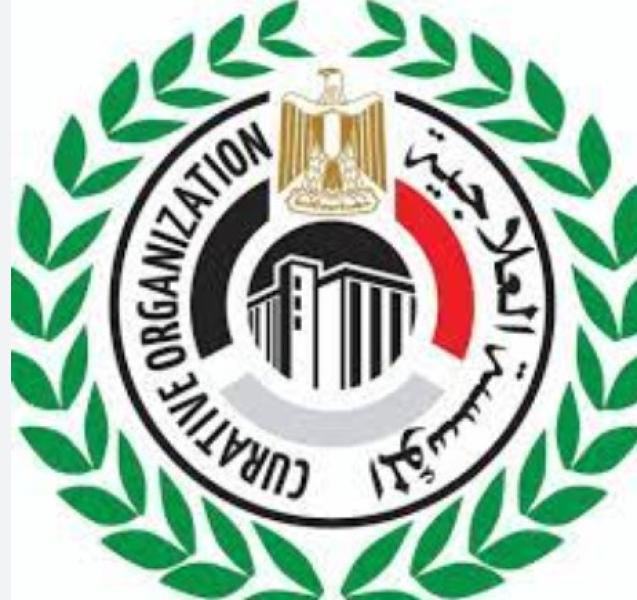 المؤسسة العلاجية