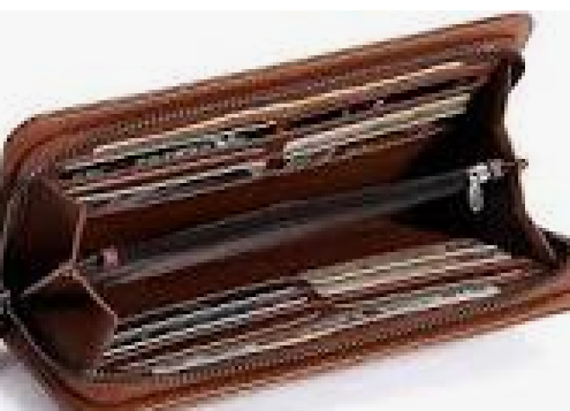 السيدة والمحفظة