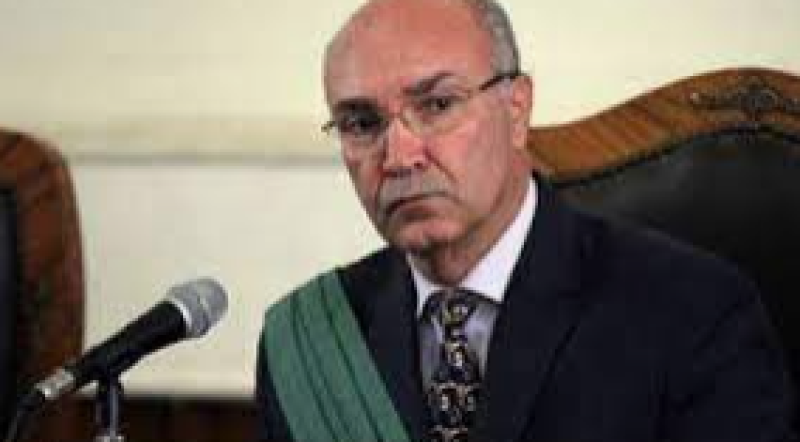 المستشار سعيد الصياد