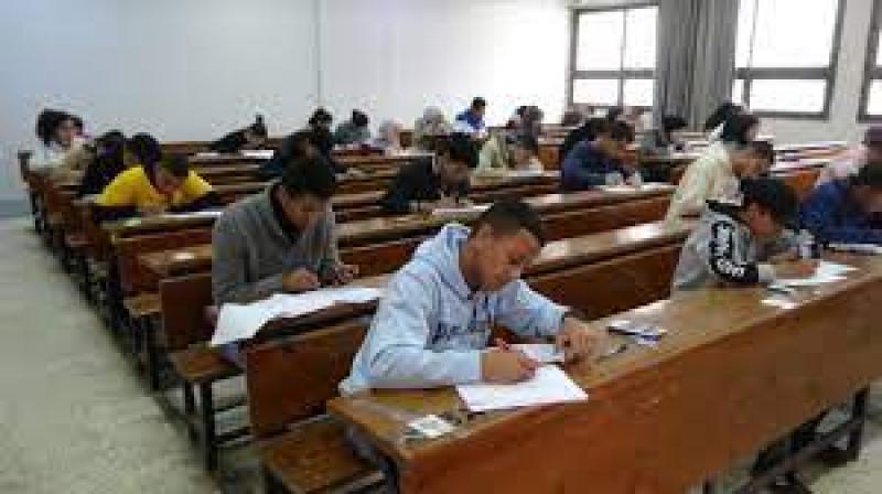 محافظ المنيا 
