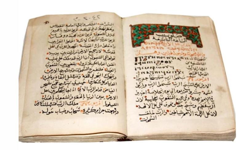 القطع المميزة لشهر يناير 